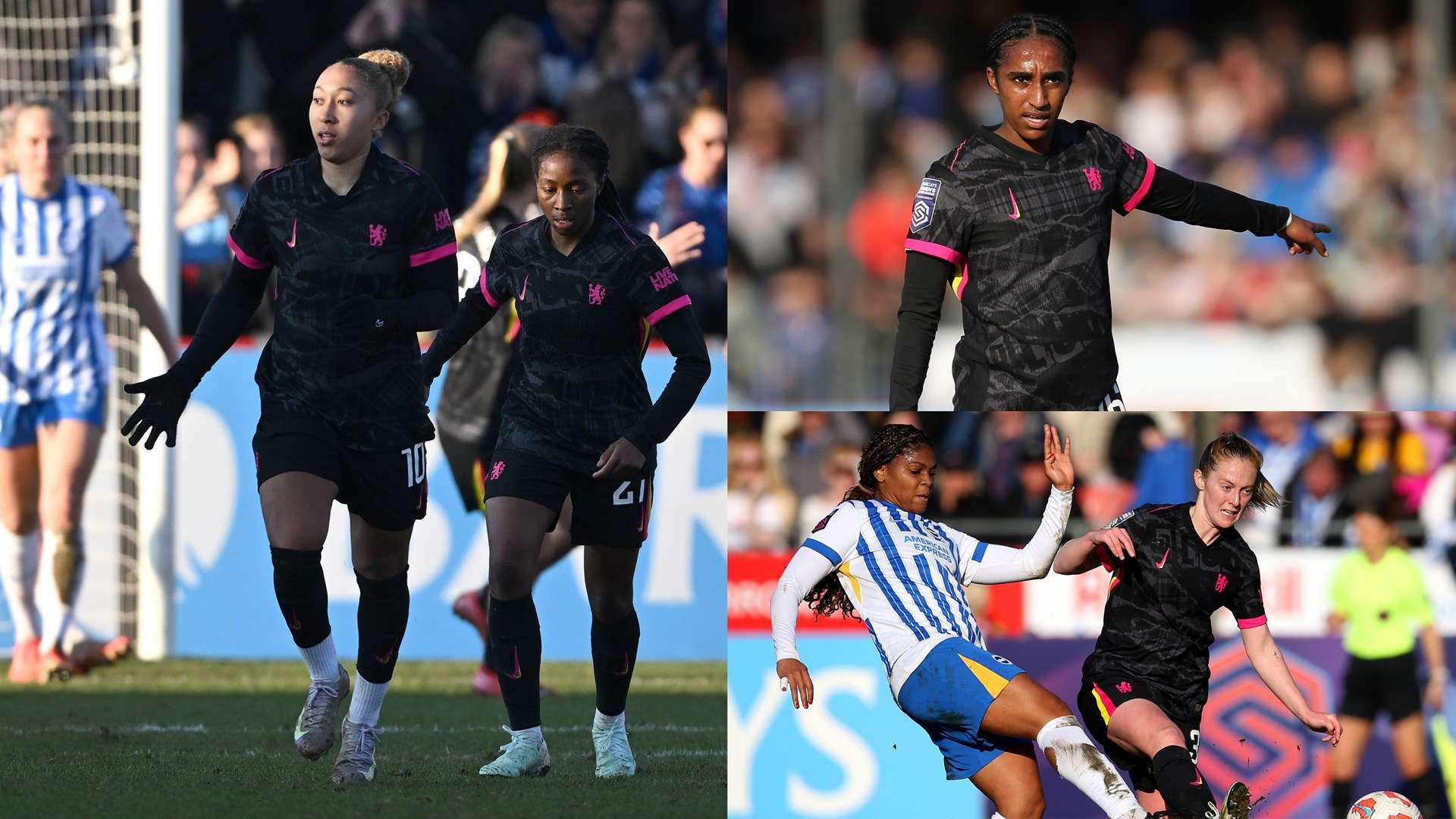 了众多球星 了众多球星